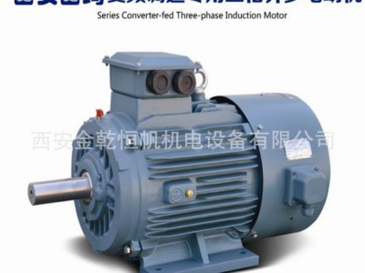 西安泰富西玛变频电机YVF2,YVFE2-355M1-10 90KW 5-70Hz