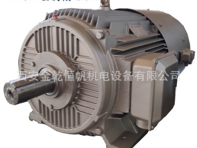 西安西玛小型变频电机YVF2,YVFE2-315M-10 55KW 5-70Hz