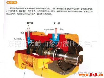 东莞齿轮泵 内啮合齿轮泵 齿轮油泵 专业生产高压齿轮泵