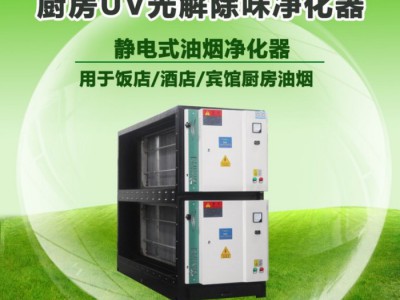 锐新环境YJ-JD-DC 大型油烟净化设备 厨房油烟处理器 餐饮油烟净化设备