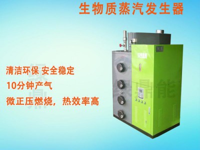 绿鼎能直销300KG全自动蒸汽发生器 生物质工业锅炉 生物质工业锅炉