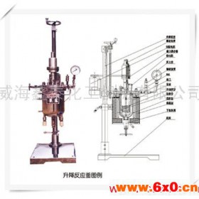 供应设备产品:升降反应釜