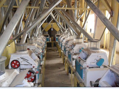 郑州双帆机械设备供应新型面粉加工设备、小麦制粉成套设备 小麦淀粉成套设备