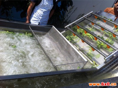 汇海HZ600型 果蔬加工清洗设备净菜