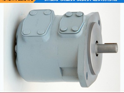 SQP2-21A-1A、SQP子母叶片泵、机械油泵、橡胶机械泵 液压油泵