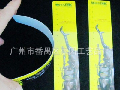 韩版文具 环保PVC直尺 小范围测量工具 塑料直尺