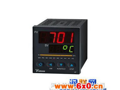 潞城pt100温度显示仪表|显示温度仪表|