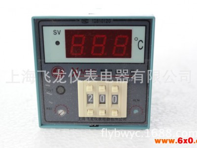 上海电工仪器仪表工业温控仪表生产温湿度控制器