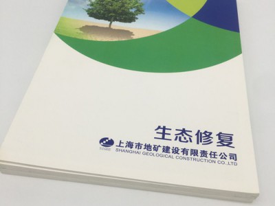 上海宣传册印刷 上海画册印刷厂家