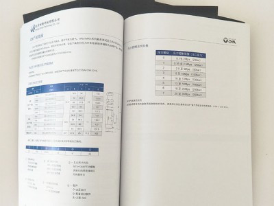 【英诺】 廊坊印刷公司 产品介绍说明书印刷