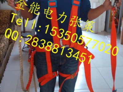 襄樊电工单腰带/安全带价格便宜