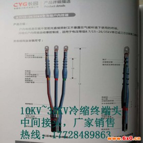 长缆电工 长沙长缆附件厂-高压冷缩电缆户外终端价格