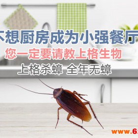 上海家庭灭白蚁公司 上海办公室灭白蚁 上海办公室灭鼠