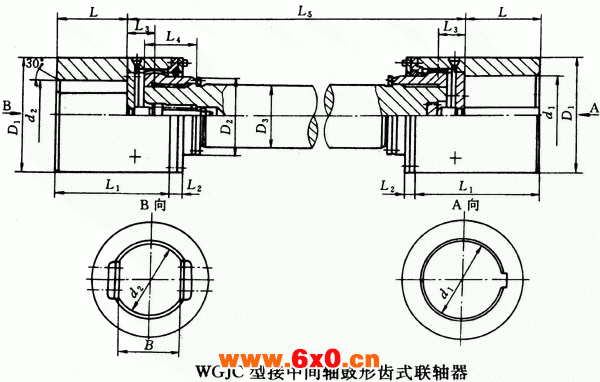 WGJ型接中间轴鼓形齿式联轴器外形及安装尺寸（JB/T8821-98）