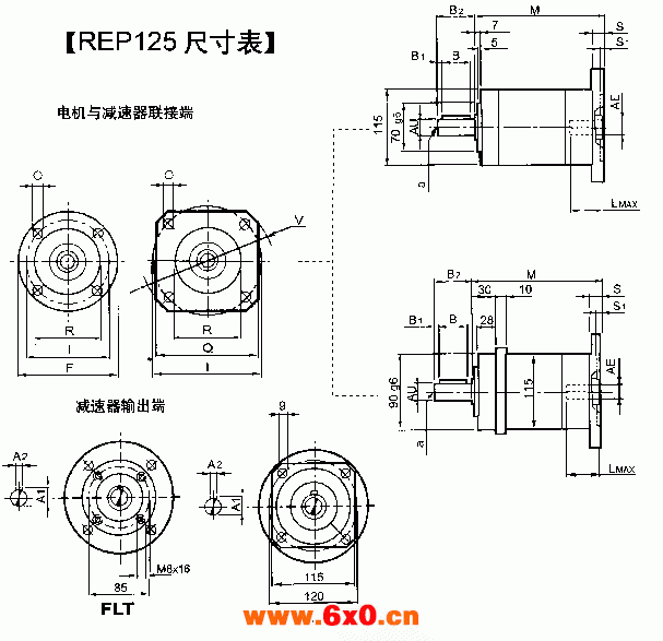 REP125尺寸表