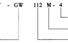 Y-GW系列高温环境用三相异步电动机概述及结构简介