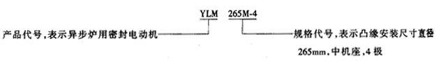 YLM炉用密封电动机概述及结构简介