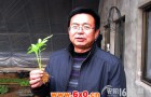 李海岗：新技术开拓温室大棚种植新道路