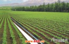 辽宁2500亩农用地用上新式提水灌溉技术