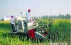 内蒙古赤峰市林西县全力推广甜菜种植全程机械化