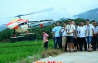 无人直升机在中国农业植保中普及