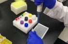 小鼠α干扰素（IFN-α）科研ELISA试剂盒促销