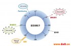 ACEHILIC色谱柱方法开发指南Ⅱ-HILIC的分离机制