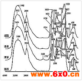 甘肃8个主产县红芪FT-IR指纹图谱