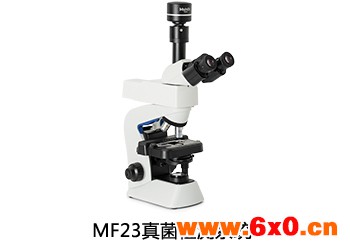 生物荧光显微镜mf23