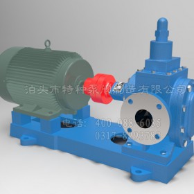 宁夏齿轮泵定制生产~泊头特种泵~厂家批发圆弧齿轮泵