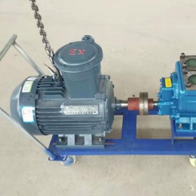 重庆圆弧齿轮泵生产企业/世奇泵业/加工YHCB圆弧齿轮泵