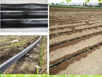 绿化工程滴灌带、棉花滴灌带生产厂