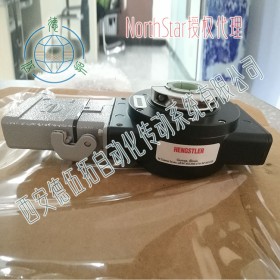 NorthStar北极星HSD351024FA7重载编码器