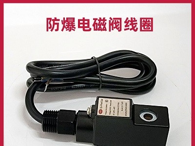 Ex0961A 24VDC 3.8W防爆电磁阀线圈电磁头铁