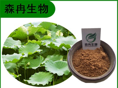 森冉生物 荷叶提取物 荷叶碱 莲叶提取物 比例提取