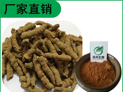 森冉生物 巴戟天提取物 鸡肠风提取物 比例提取原料粉