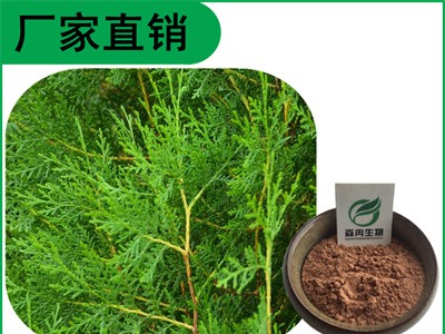 森冉生物 侧柏叶提取物 扁柏叶提取