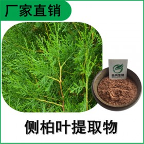 森冉生物 侧柏叶提取物 扁柏叶提取物 比例提取原料粉